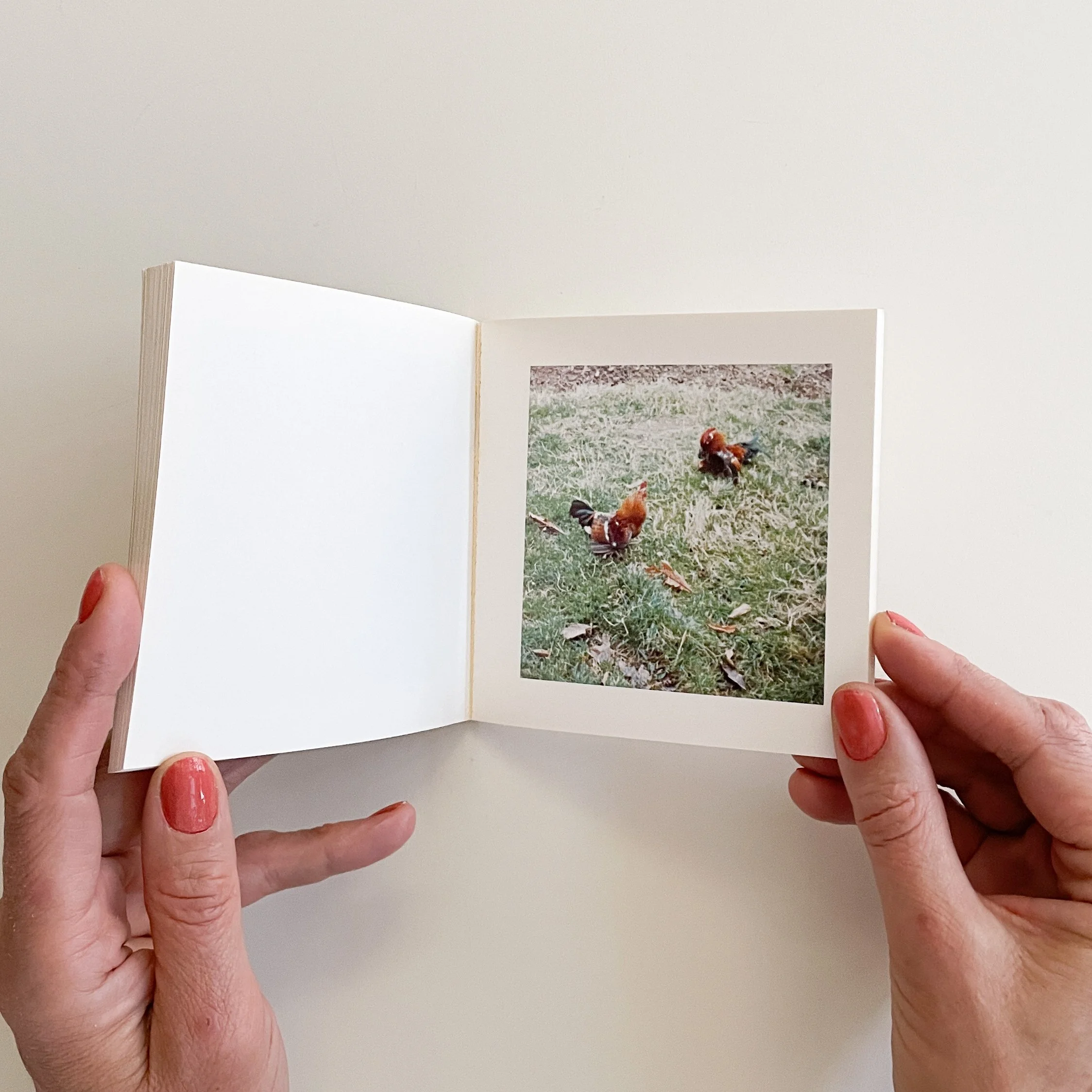 アート・デザイン・音楽 Cock Fight Dance - Sol Lewitt アート・デザイン・音楽 Cock Fight Dance - Sol Lewitt アート